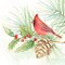 Winter Birds Iv Cardinal Poster Print by Cynthia Coulter - Item # VARPDXRB12406CC